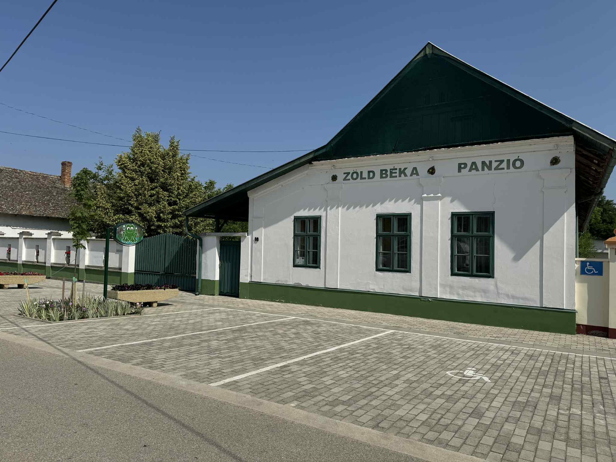zöld béka